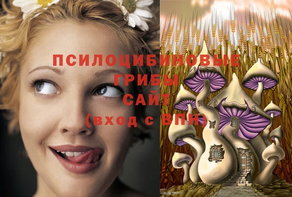 ECSTASY Рославль